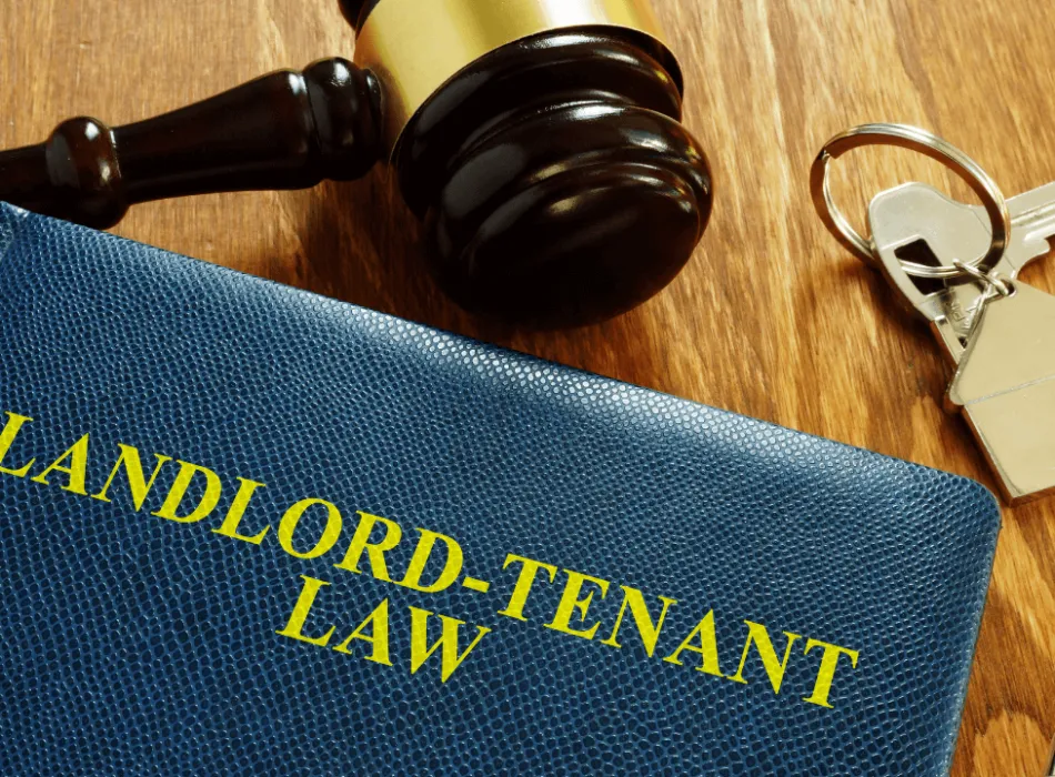 My Tenant is Not Paying Rent: What Are My Options? A Comprehensive Guide